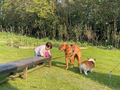 -前小桔亲子创意农场·草莓采摘·露营烧烤