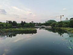 -映月湖公园