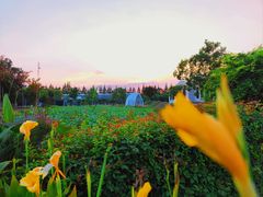 -歌斐颂巧克力小镇