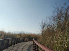 -抚仙湖禄充风景区