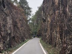 -红山村