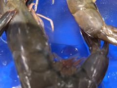 -渔公码头海货全海鲜自助(海滨旅游路店)