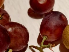 -芸山季·云南山珍菌火锅(人民广场来福士店)