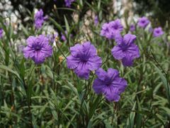 -广西壮族自治区南溪山医院
