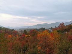 -塔川景区