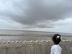 -南汇嘴观海公园