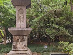 -汇龙潭