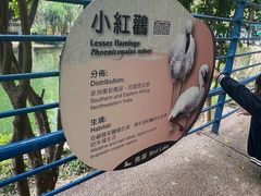 -九龙公园