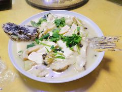 -煲来饱去冷水鱼