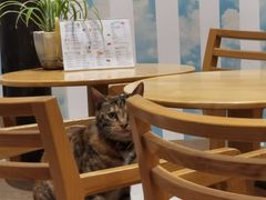 -猫的天空之城概念书店(杭州南宋御街店)