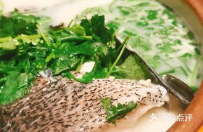 Casserole Organic Fish Head Soup