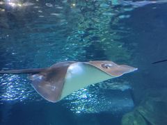 -太平洋海底世界