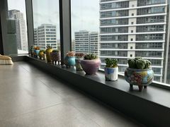 -双季花艺园艺市场(浦东店)