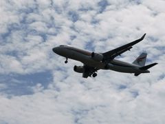 -空港花田景区
