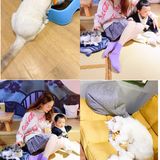 安阳探店｜安阳首家猫咖☕️二楼的猫🐱