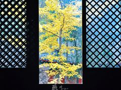 景点-红螺寺