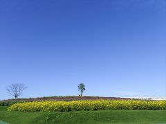 -南通洲际绿博园