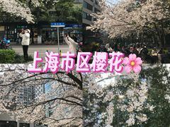 -玛格萝妮比萨屋(四平店)