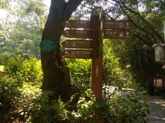 -白云山风景名胜区