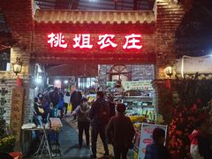 -桃姐农庄老字号(从化温泉店)