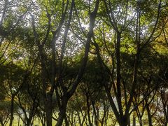 -重庆中央公园(渝北区)