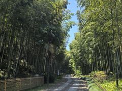 -黄公望隐居地