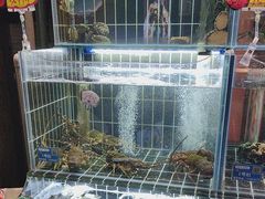 -苏淮景·苏闽融创菜·海鲜(原空港井河轩店)