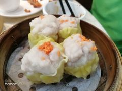 -蒲园食堂(中山大学广州校区南校园店)