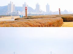 -星海广场