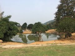 -龙寺生态园