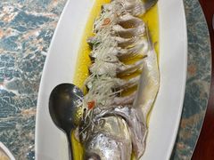 -金枝玉叶上海人家食府(三里河店)