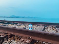 -海堤纪念公园