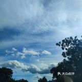 海南｜琼海舒适慵懒度假小吃top1