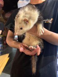 -Zoolung Zoolung动物主题公园(海信广场店)