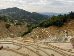-紫鹊界梯田景区
