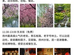 -大潮淮·淮扬菜(何园旗舰店)
