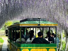 -同里国家湿地公园