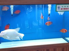 -宁海食府(北岸琴森店)