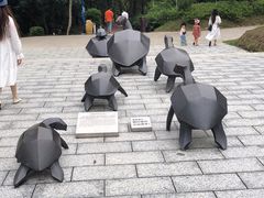 -广东惠东海龟国家级自然保护区