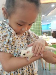 -Moni星球萌宠·小马宝莉·灵蛇·高端高阶全萌宠互动体验俱乐部(红豆国际广场店)