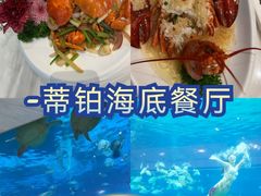 -三亚海棠湾喜来登度假酒店大堂吧