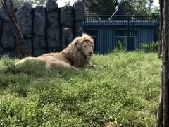 -秦皇岛野生动物园
