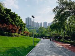 -龙头寺公园
