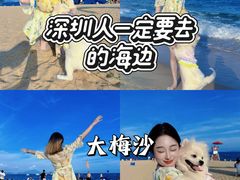 -大梅沙海滨公园