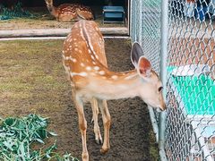 -长白山万达喜来登度假酒店