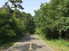 -南京金牛湖风景区