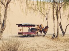 -黄沙古渡原生态旅游区