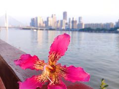 -海心沙亚运公园