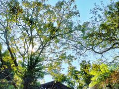 -华南国家植物园-售票处