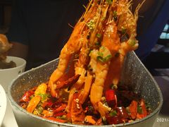 -今朝桃花醉川菜小酒馆(龙湖天街店)